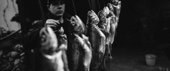 Der Fisch ist auch mein Freund II, eine Fotoserie von Antje Kroeger