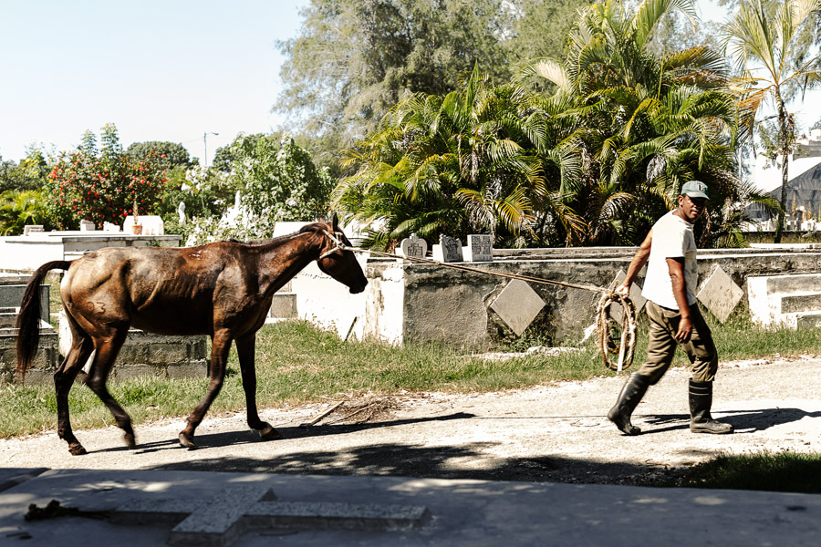 Kuba, Oktober 2016 – Cienfuegos Antje Kroeger 140