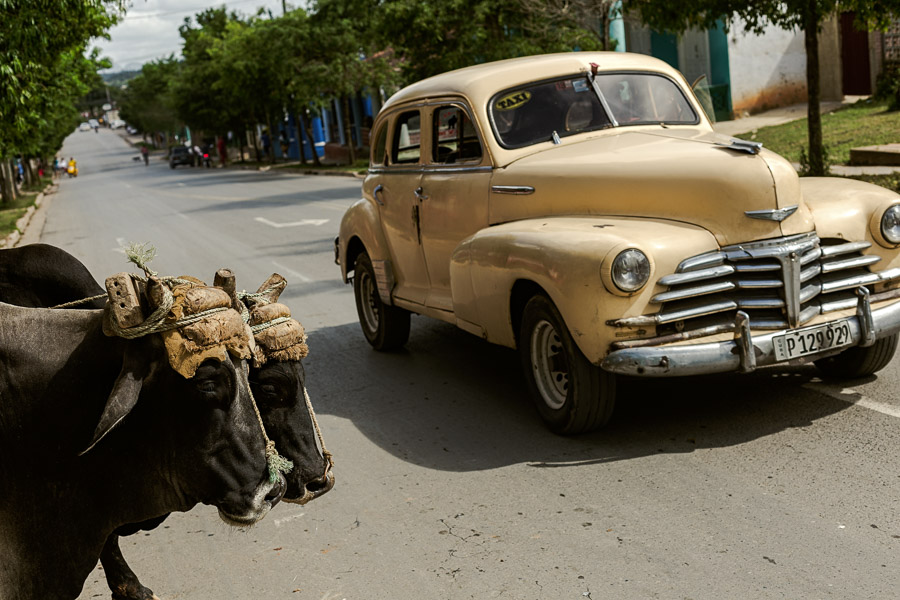 Kuba, November 2016 - Viñales_Antje_Kroeger_277