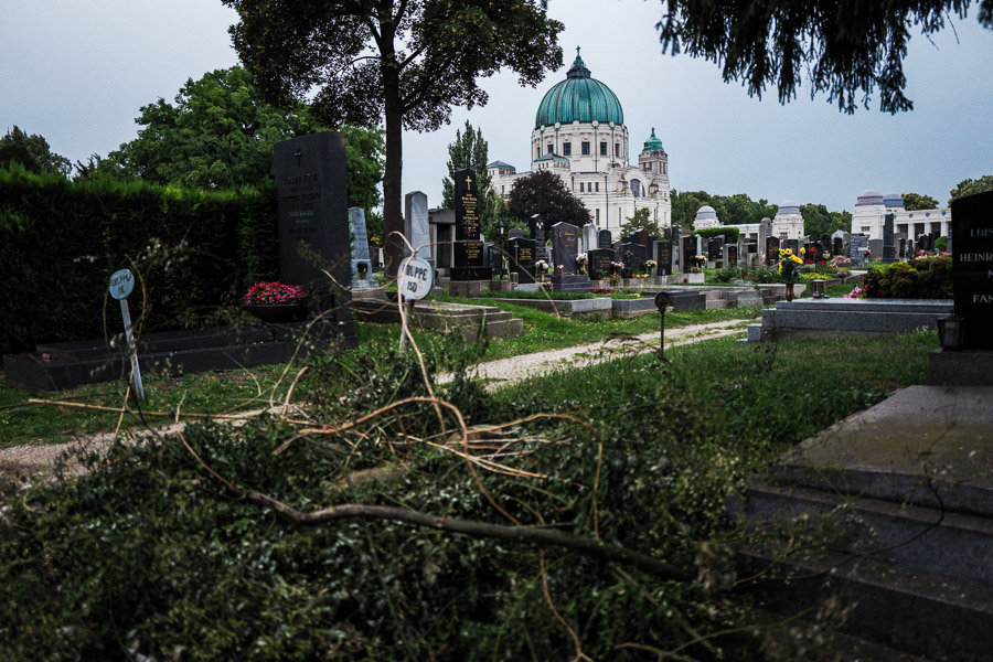 Wien - Zentralfriedhof, Juli 2018
