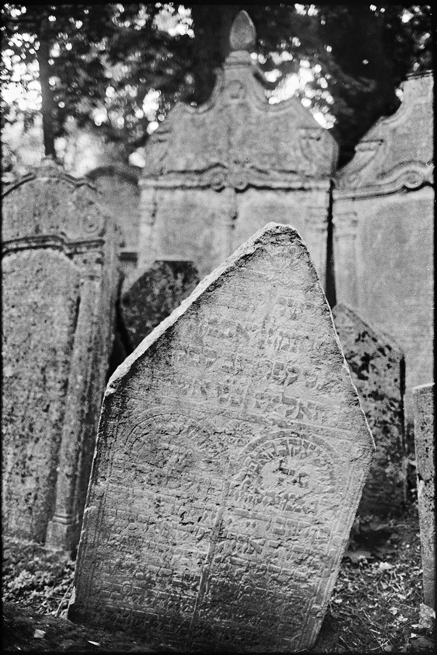 prag12_antjekroeger_analogefotografie_juedischerfriedhof