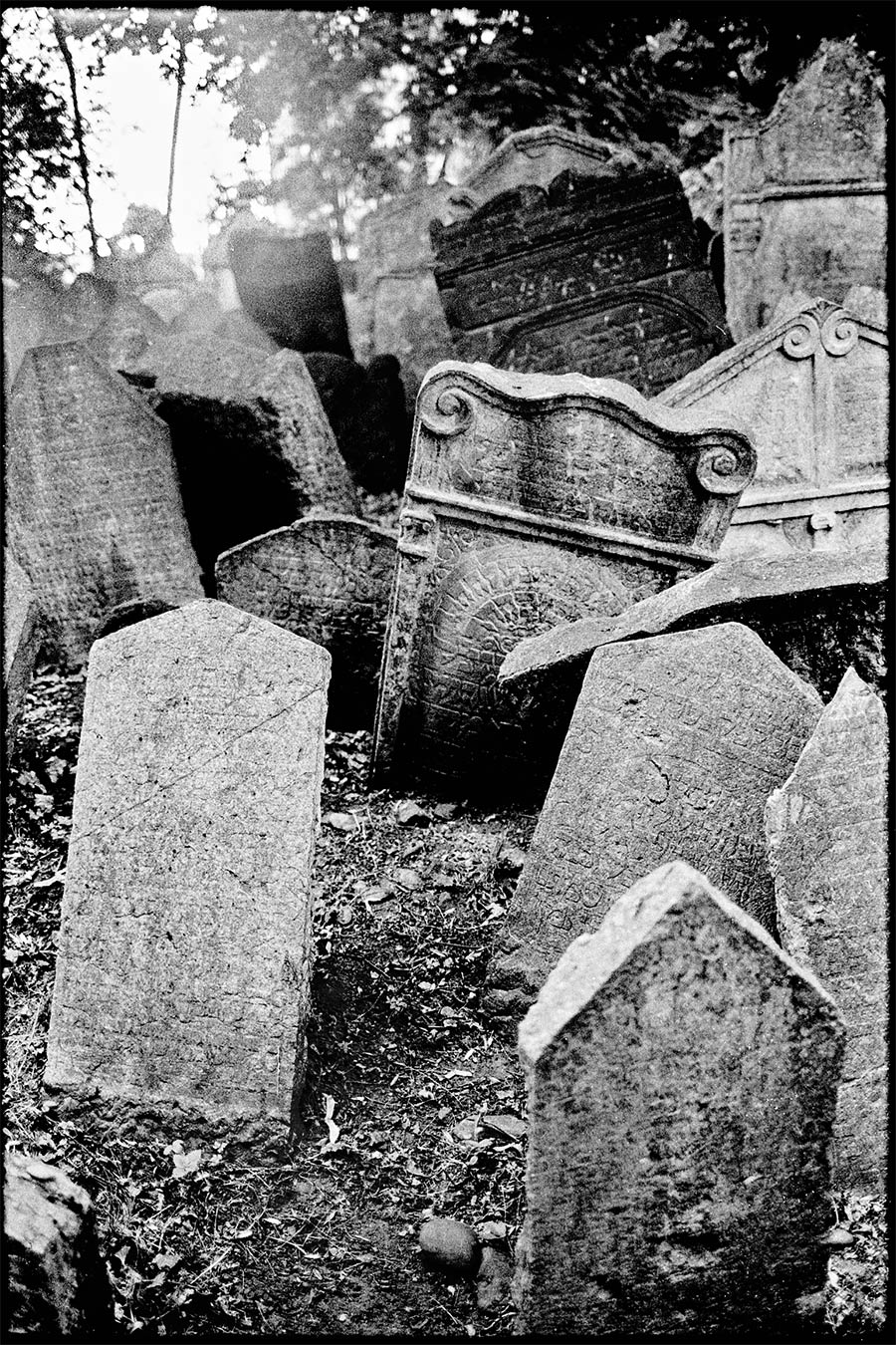 prag13_antjekroeger_analogefotografie_juedischerfriedhof