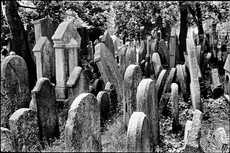 prag18_antjekroeger_analogefotografie_juedischerfriedhof