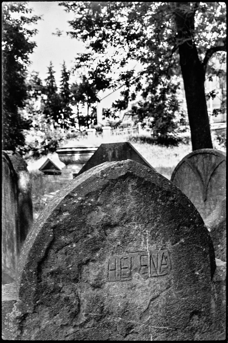 prag21_antjekroeger_analogefotografie_juedischerfriedhof