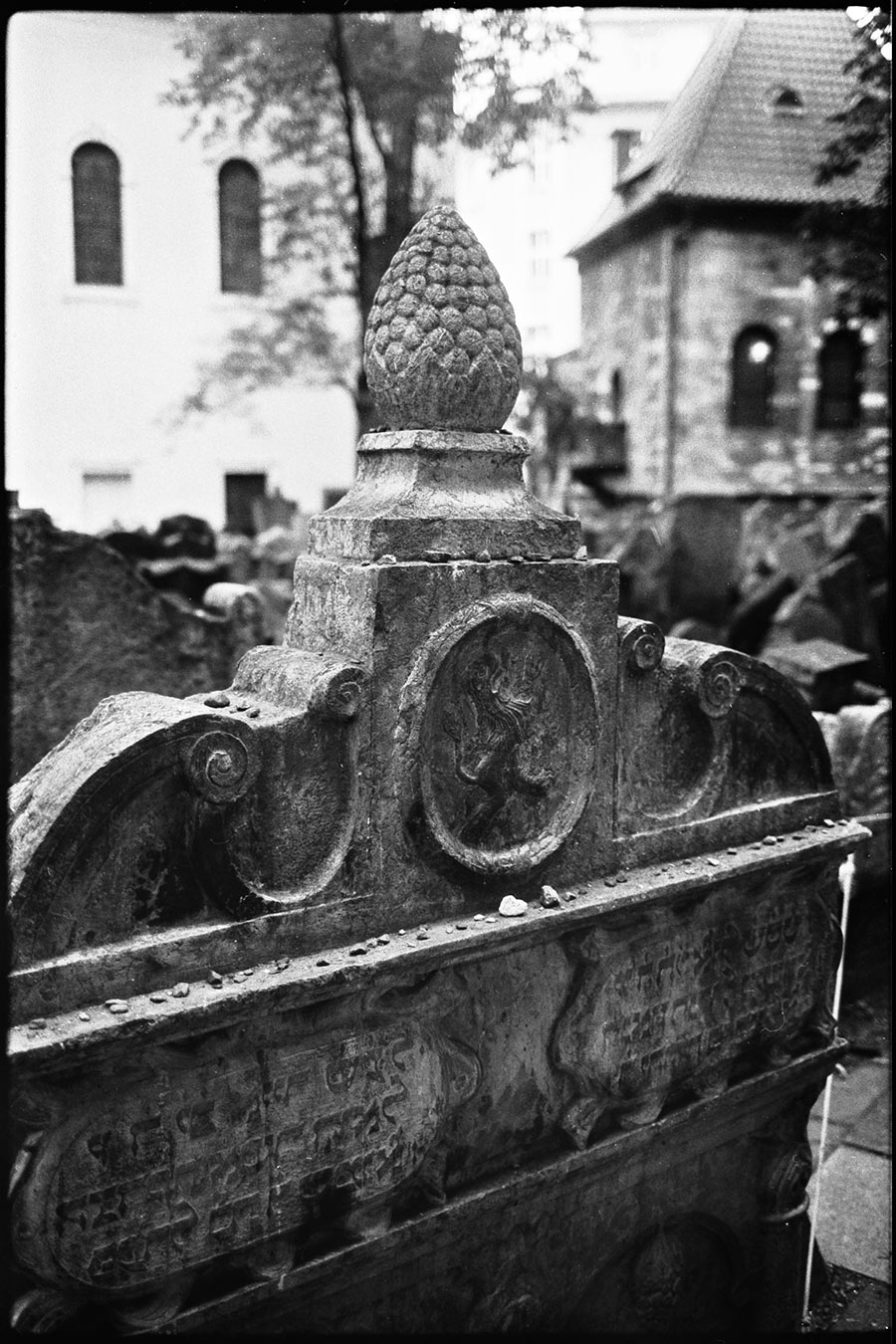 prag26_antjekroeger_analogefotografie_juedischerfriedhof
