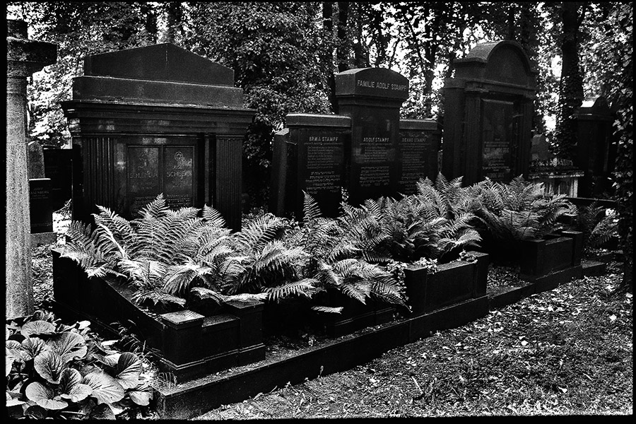 prag29_antjekroeger_analogefotografie_juedischerfriedhof