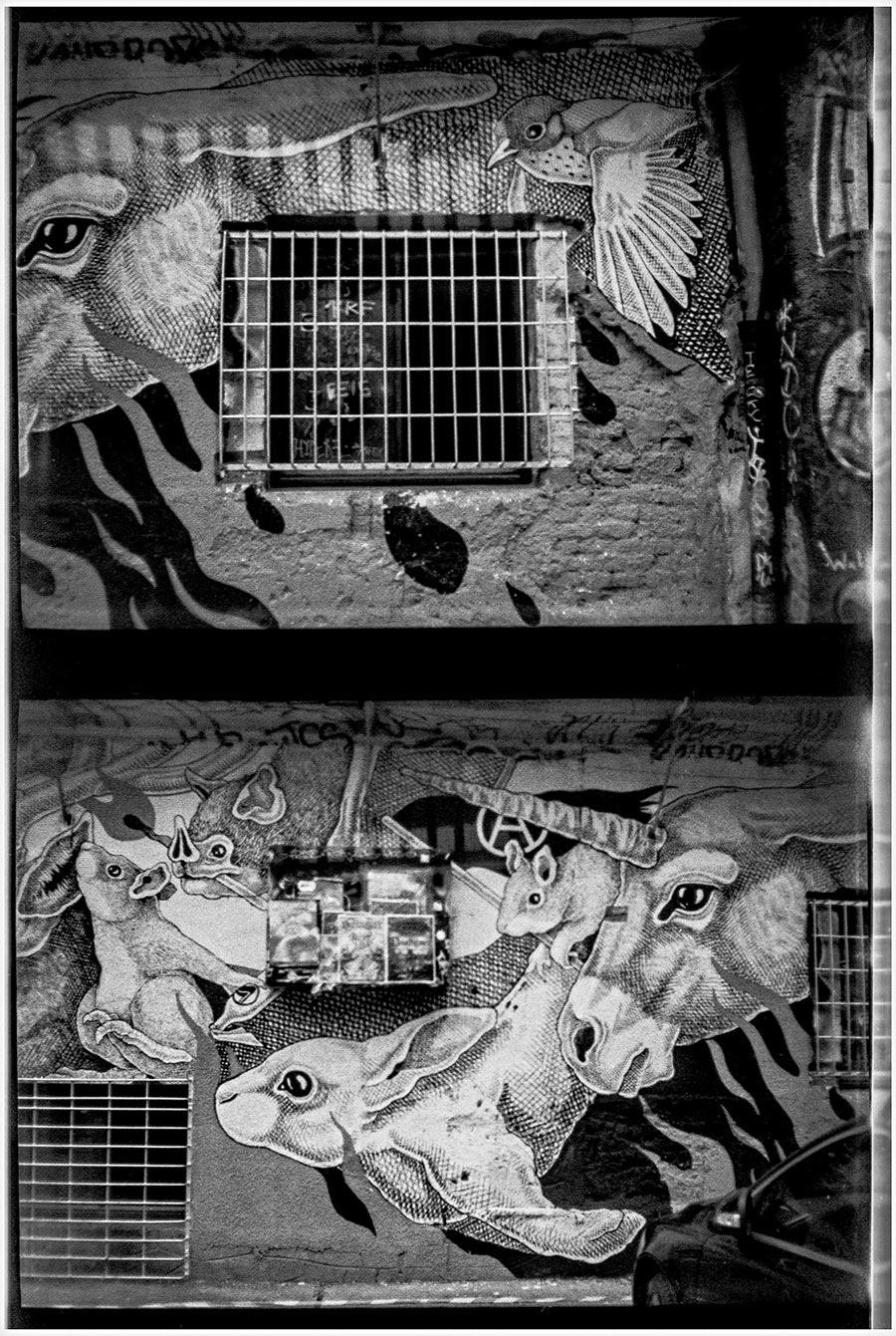 ljubljana3-streetart-metelkova-analogefotografie-antjekroeger