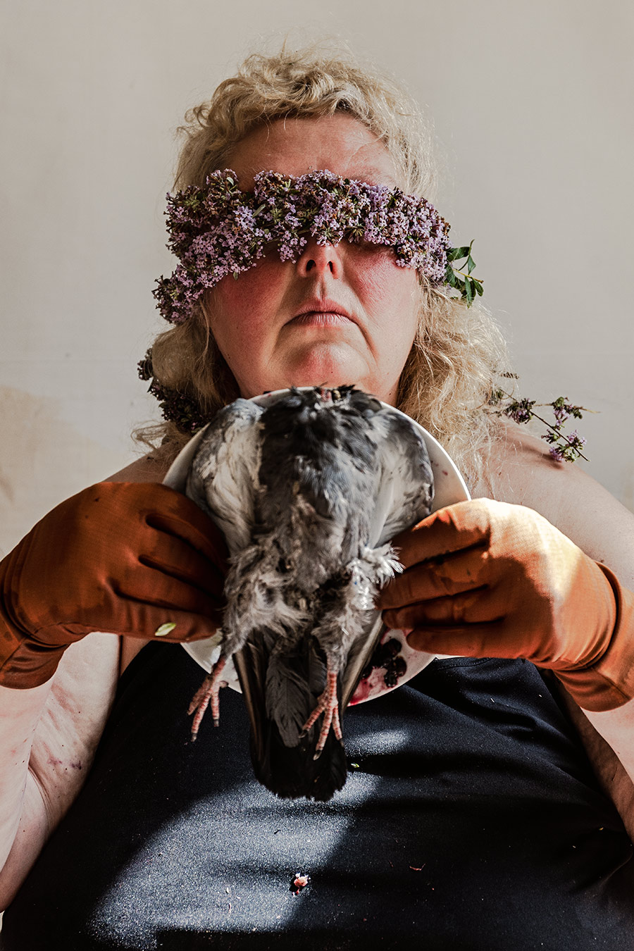 öde-an-die-taube-fotokunst-antjekroeger