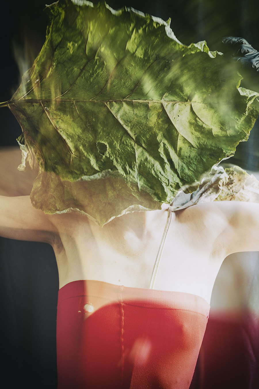 Welker Sommer-fotokunst-antjekroeger