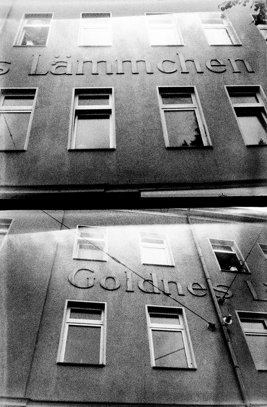 agat18k-leipzig-ost-goldneslaemmchen-analogefotografie-leipzig