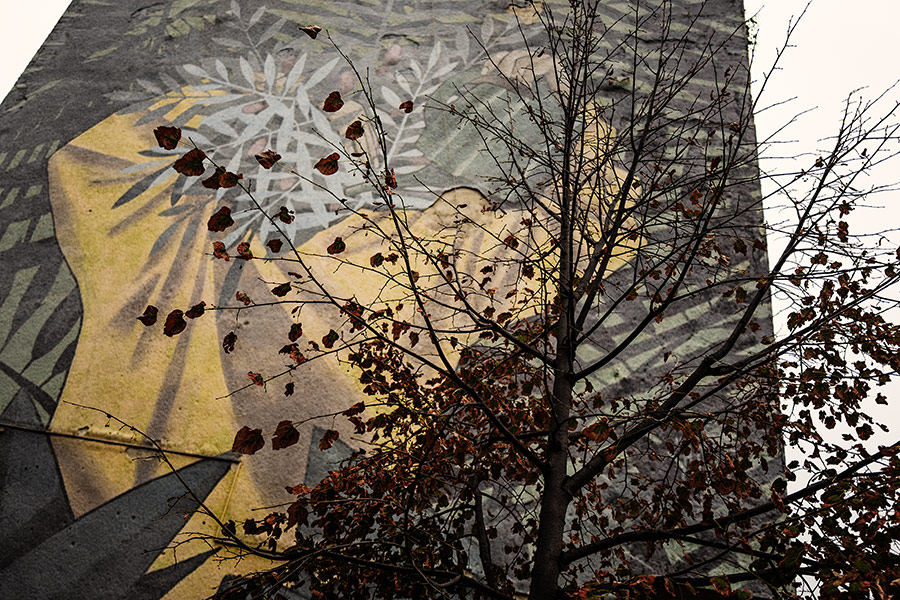 blok4-novisad-serbien-balkan-reisefotografie-antjekroeger