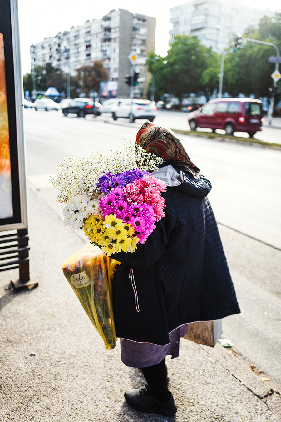 blumen-novisad-serbien-balkan-reisefotografie-antjekroeger