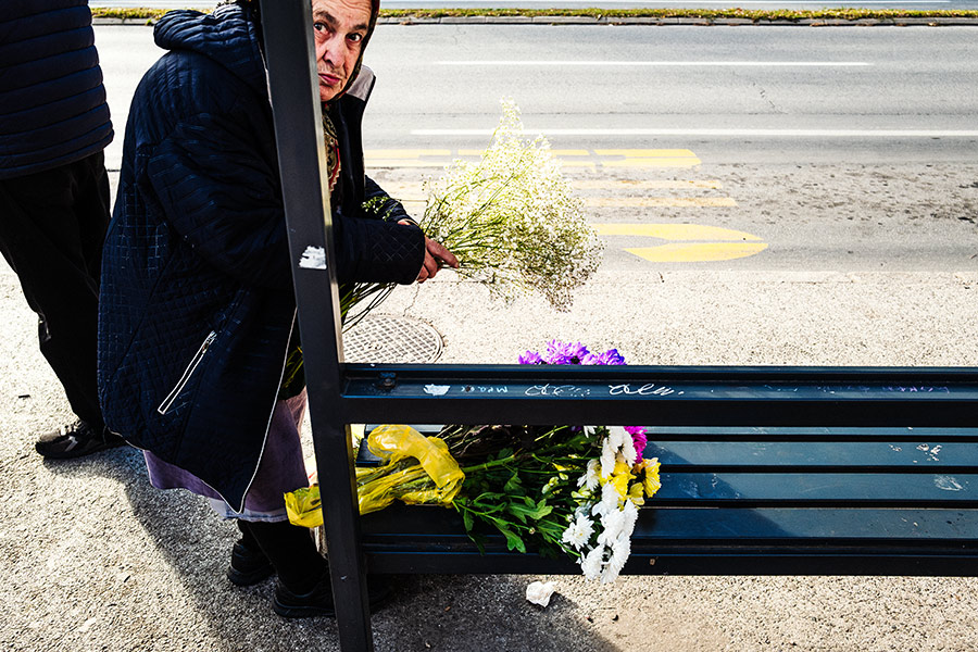 blumen2-novisad-serbien-balkan-reisefotografie-antjekroeger