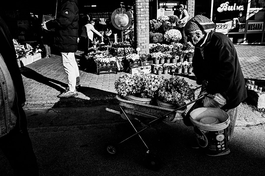 blumenmann-novisad-serbien-balkan-reisefotografie-antjekroeger