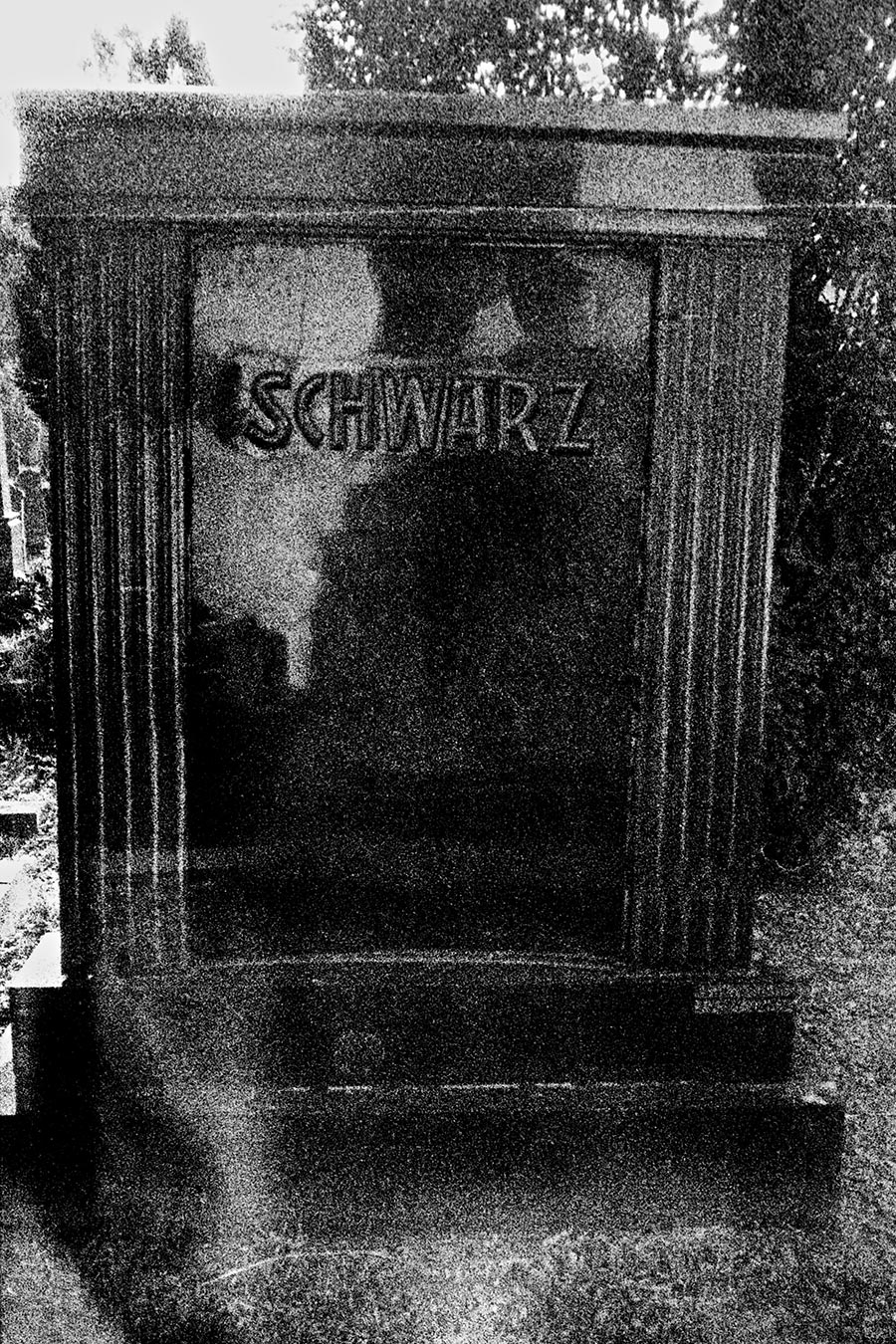 Jevrejsko Groblje (Jüdischer Friedhof) -  Novi Sad