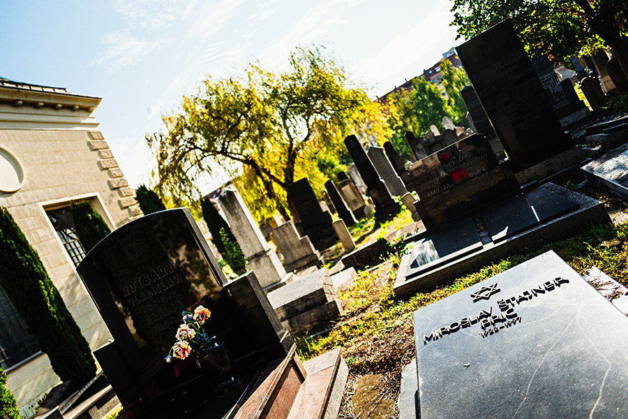 Jevrejsko Groblje (Jüdischer Friedhof) -  Novi Sad