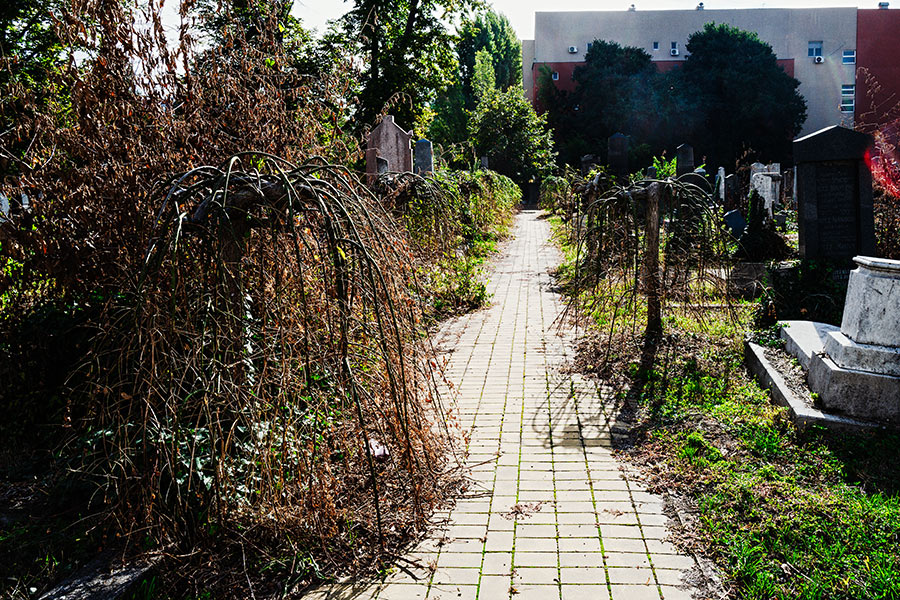 Jevrejsko Groblje (Jüdischer Friedhof) -  Novi Sad