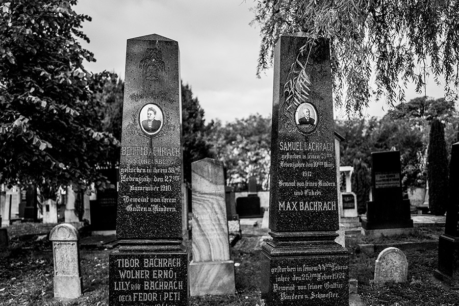 Jevrejsko Groblje (Jüdischer Friedhof) -  Novi Sad