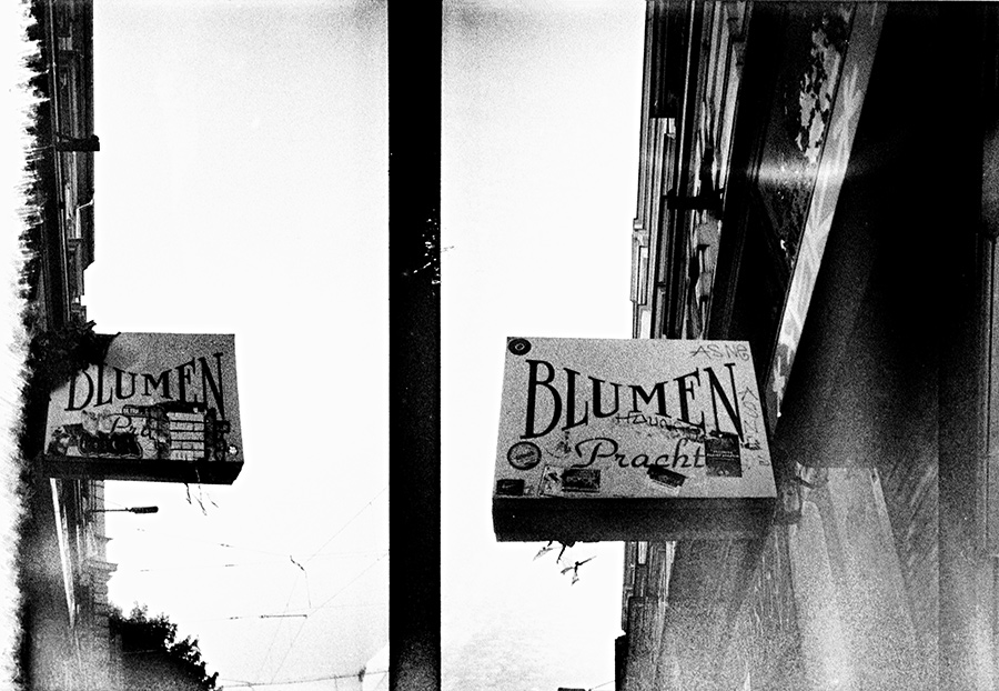 leipzig-analogefotografie-agat18k-blumenpracht