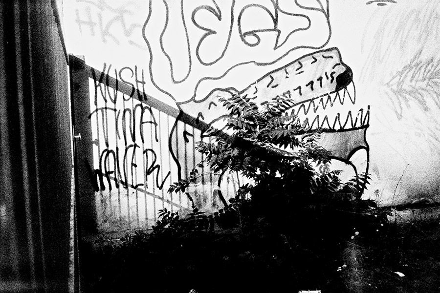 leipzig-analogefotografie-agat18k-krokodil
