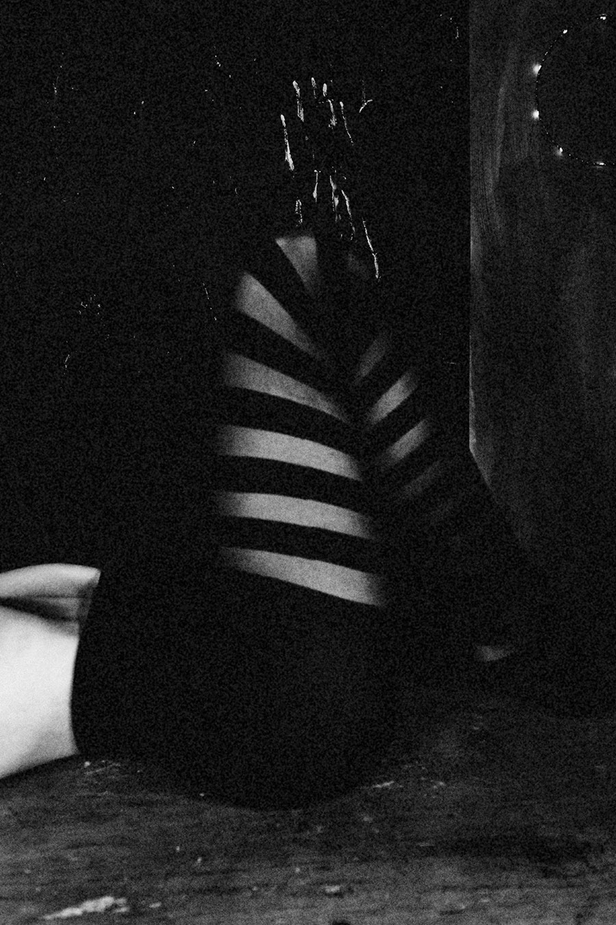 Aktfotografie Leipzig