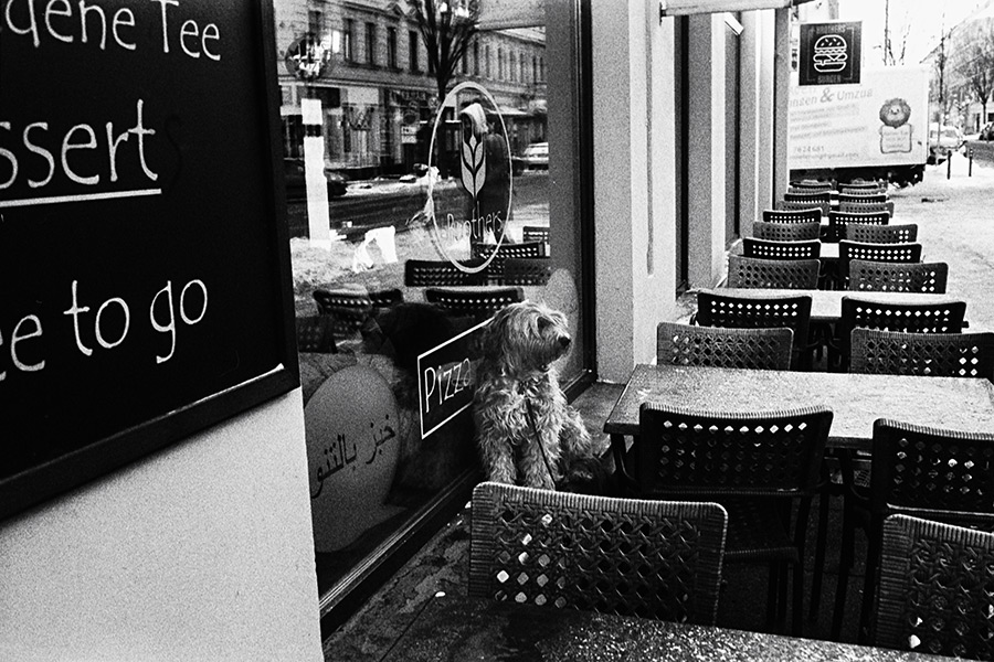 ANALOGE FOTOGRAFIE – 35-mm-Kleinbildfotografie Antje Kröger