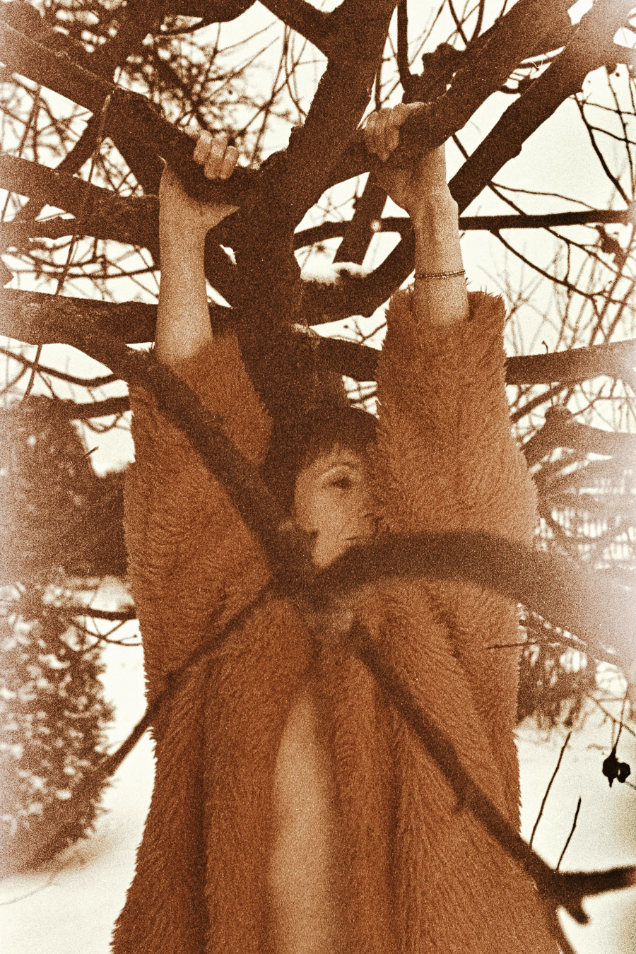 Sepia-Fotografie, Frau zwischen Ästen, künstlerisch, naturnah