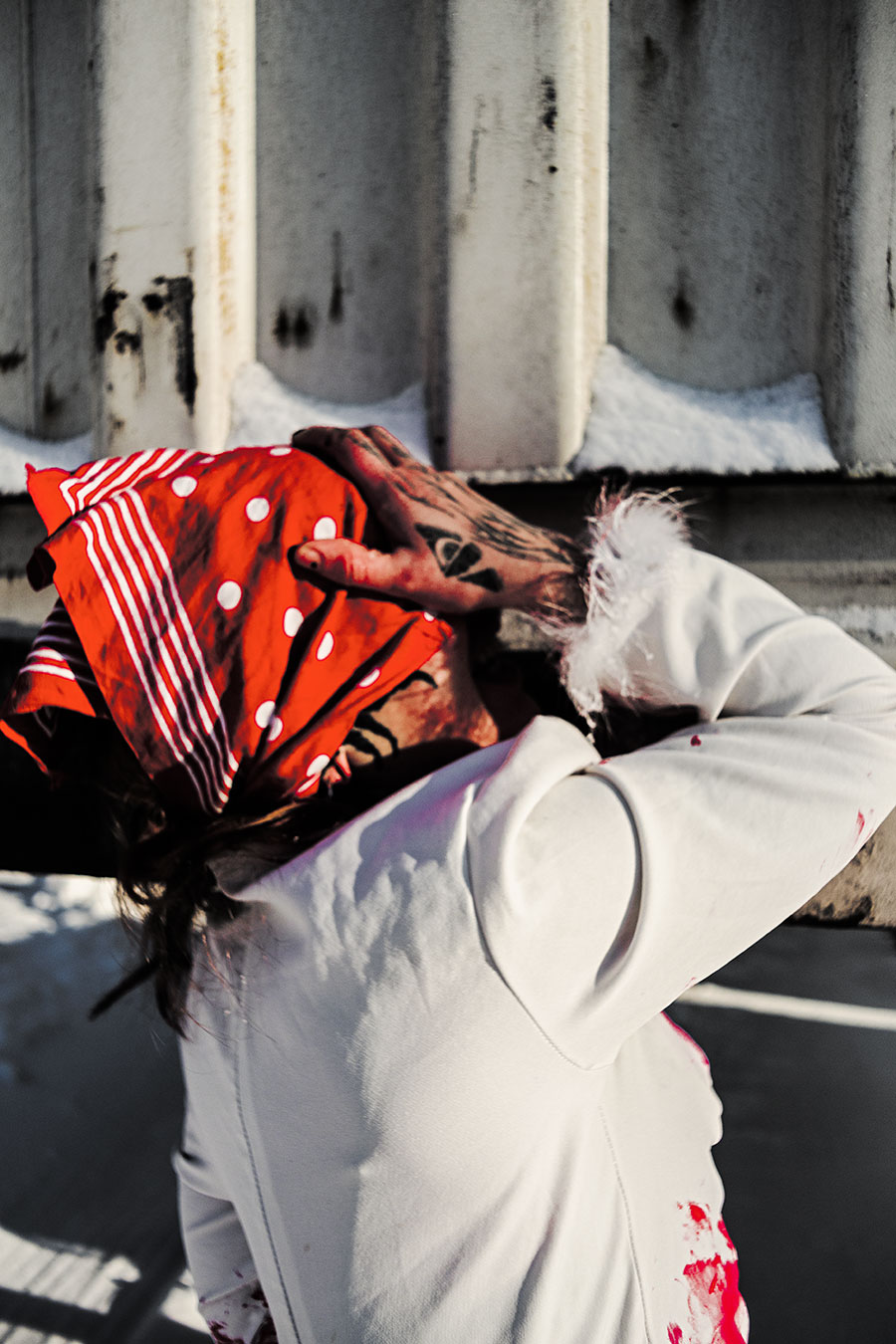 Winterportrait mit starkem Rot-Weiß-Kontrast