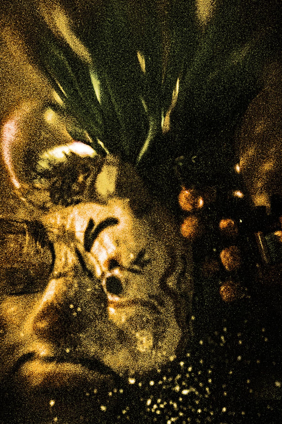 Nahbild in Dunkelgrün und Gold. Eine Clownmaske mit aufgerissenem Mund, von Pflanzentrieben überragt, umgeben von kugeligen Beeren oder Früchten. Starkes Filmkorn, kaum Kontur.