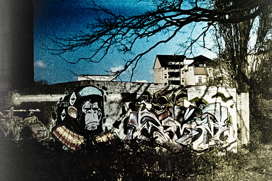 cottbus-brandenburg-analogefotografie-agat18k-bahnhof-affe