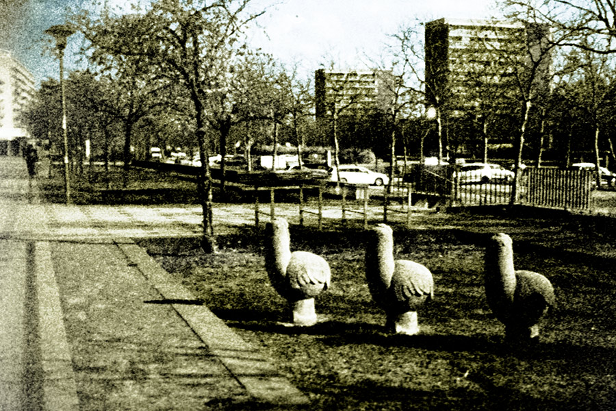 cottbus-brandenburg-analogefotografie-agat18k-sachsendorf-ddr-plastik