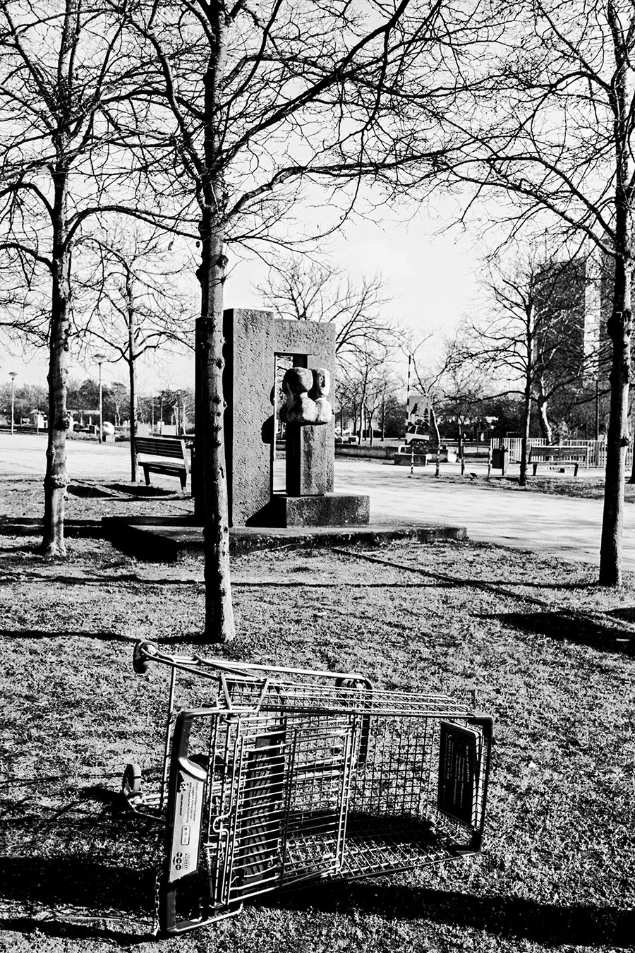 cottbus-brandenburg-analogefotografie-sachsendorf-einkaufskorb
