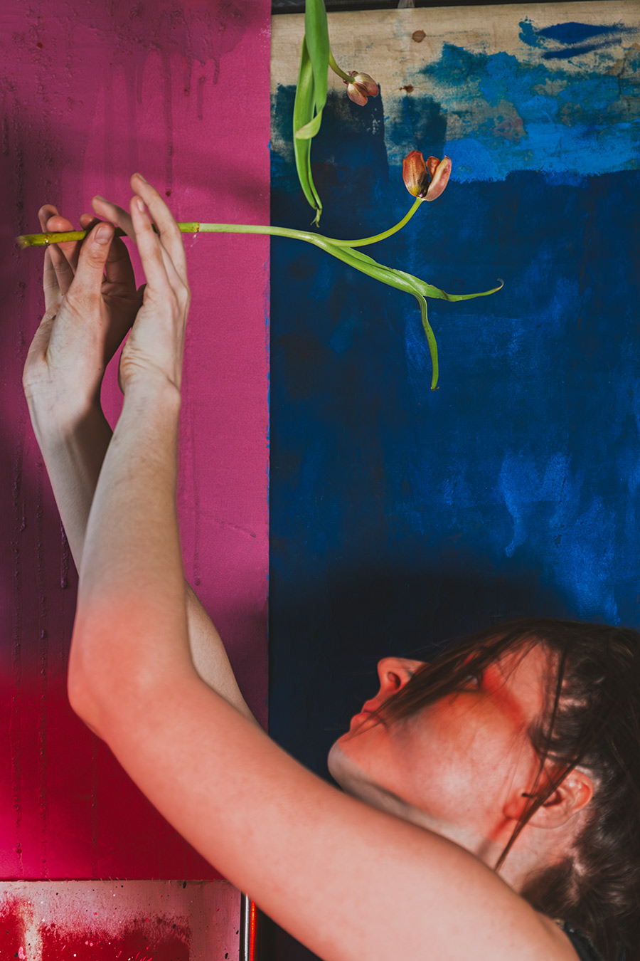 Hand hält welke Tulpe zwischen farbigen Flächen, Fotokunst Die Lücke