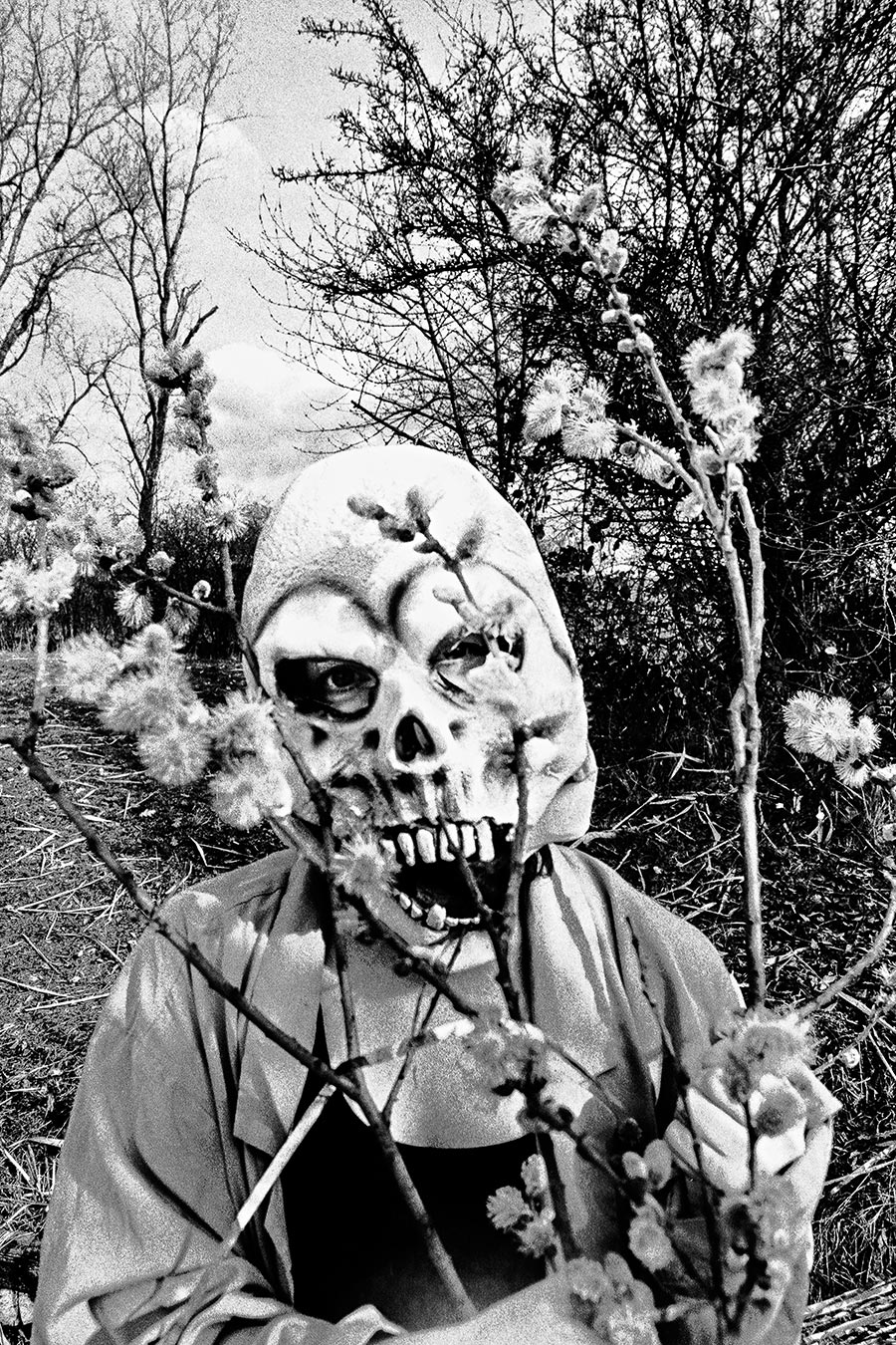Nahaufnahme einer Totenmaske umgeben von blühenden Weidenkätzchen, ein echtes Auge schaut durch die Maske, analoges Schwarz-Weiß-Foto auf Kodak T-Max 100, Serie „El Pasaje"