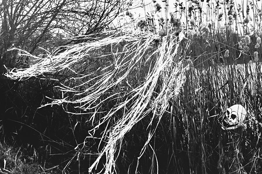 Schädel lugt aus dem Schilf am Wasser hervor, wehende Silberfäden, kein Mensch sichtbar, analoges Schwarz-Weiß-Foto auf Kodak T-Max 100, Serie „El Pasaje"