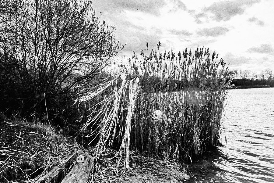 Schilf am Seeufer mit Silberfäden und Schädel, weite Landschaft, kein Mensch, analoges Schwarz-Weiß-Foto auf Kodak T-Max 100, Serie „El Pasaje"