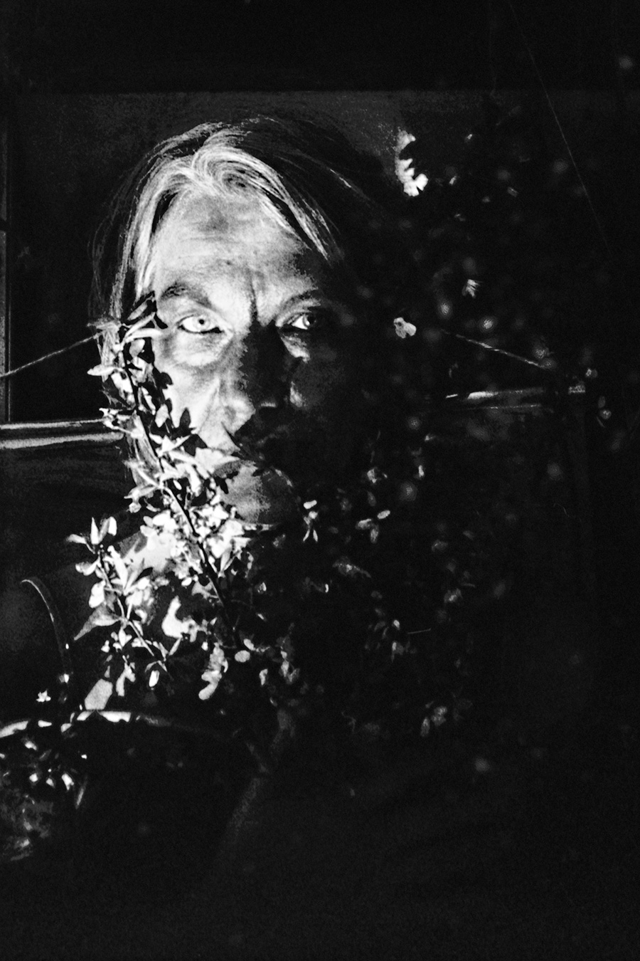 Greisenmädchen Teil 2, Nahporträt ältere Frau schaut durch Blätter im tiefen Schwarzweiß, Fomapan 400 Ortho, Fotografin Leipzig