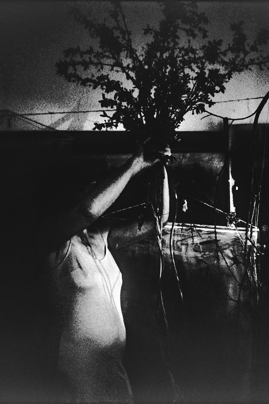 Greisenmädchen Teil 2, Frau streckt Arm mit Zweig nach oben, dramatisches Schwarzweißlicht, Fomapan 400 Ortho, Fotografin Leipzig