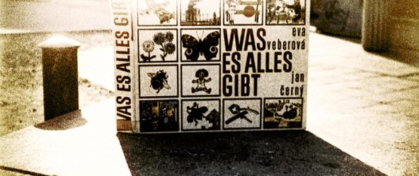 luetzen-wasesallesgibt-analoge-fotografie-agat18k