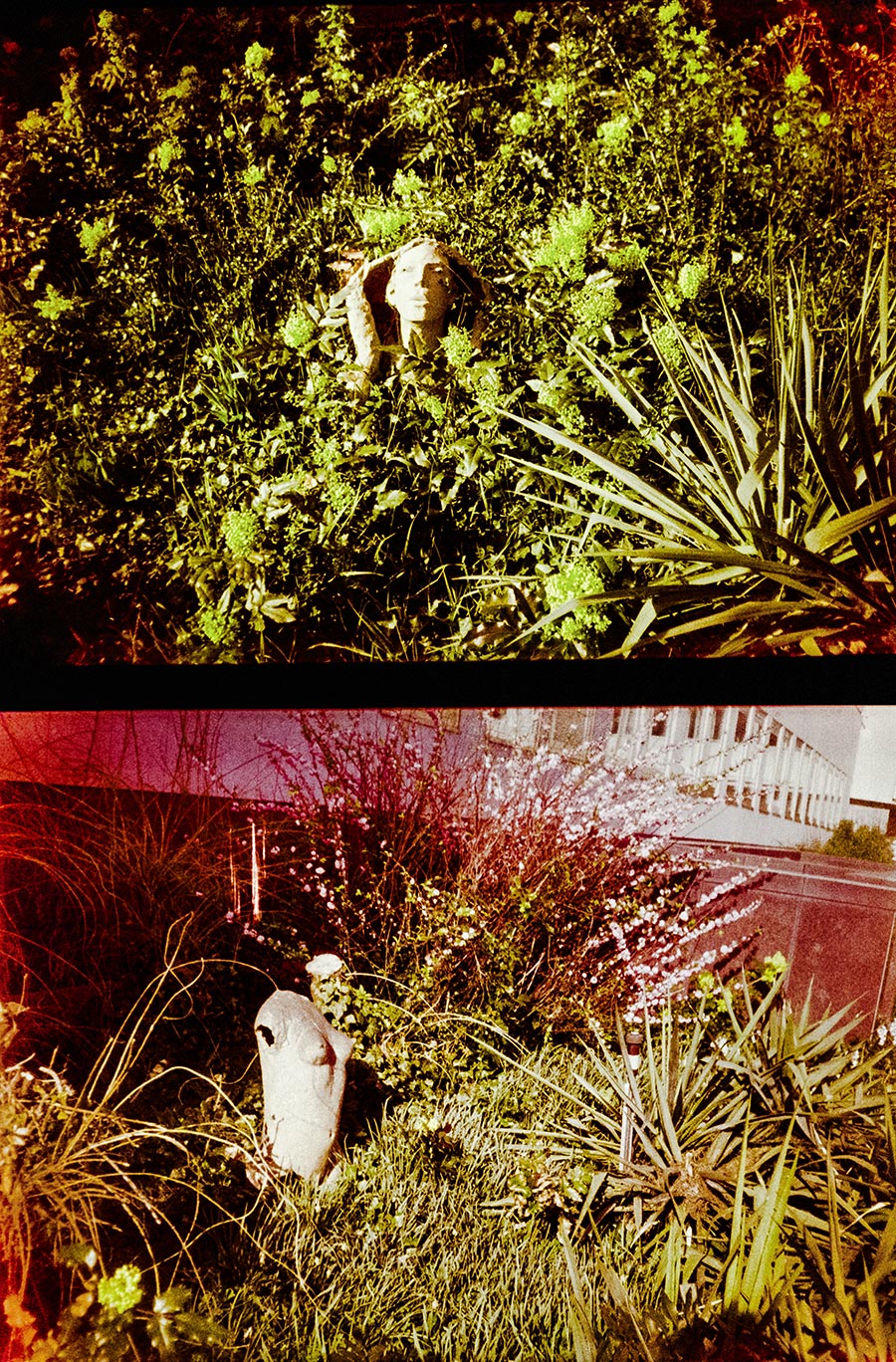 berlin-analogefotografie-agat18k-esmt