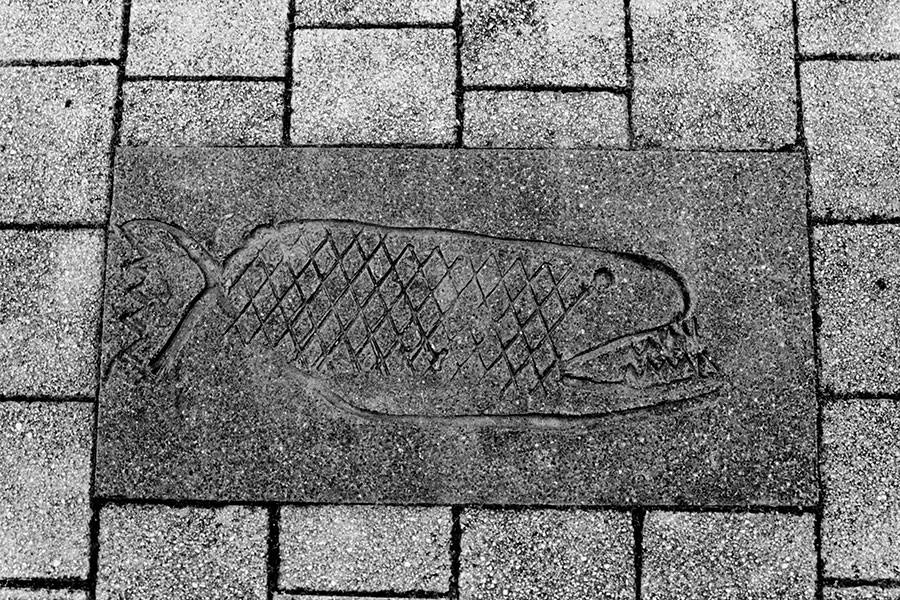 jena-ost-thueringen-skulpturfisch-agat18k-analogefotografie