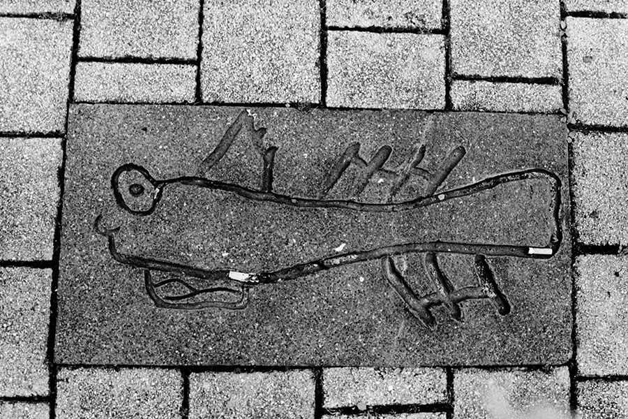jena-ost-thueringen-skulpturfisch2-agat18k-analogefotografie
