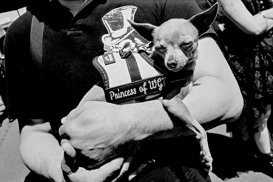 leichenwagenprozession-wgt2026-leipzig-analogefotografie2