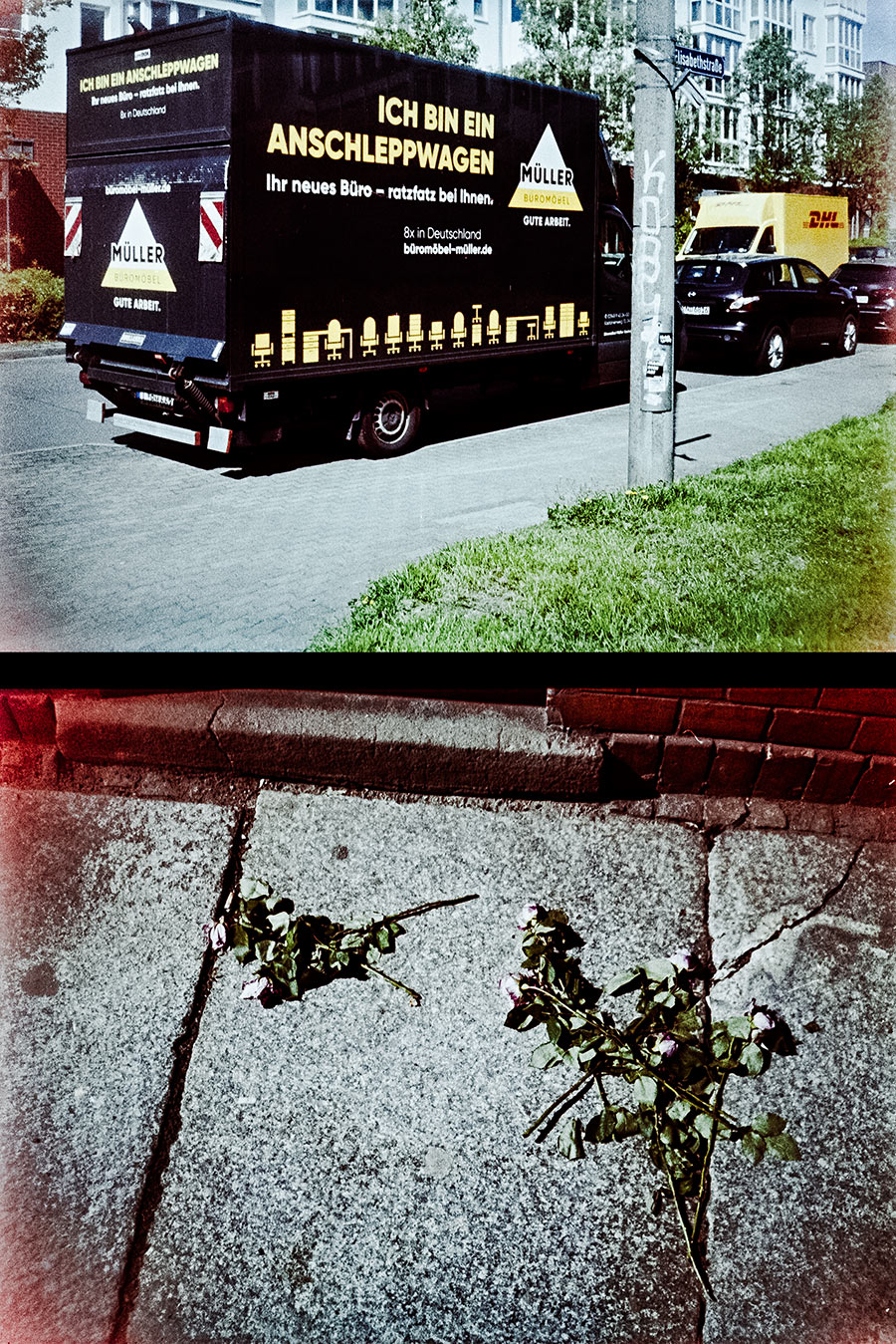 leipzig.ostdeutschland-analogefotografie-agat18k-rosen