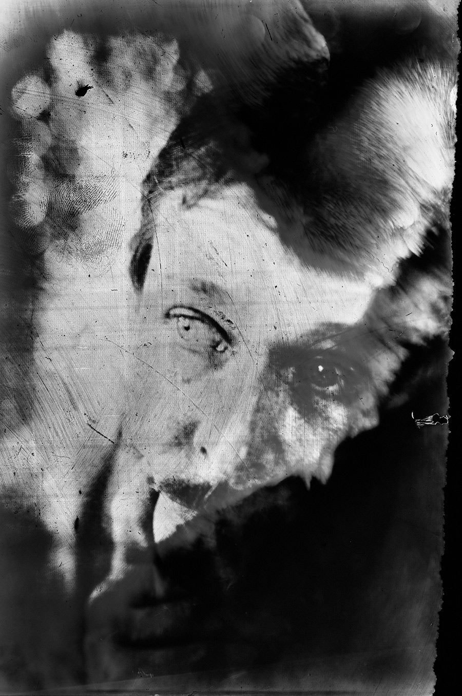 analogefotografie-orwo-kodak-leipzig-2bernd