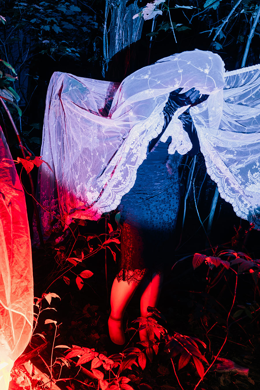 gesichtslose inszenierte Fotografie, Spitzenvorhang wird hochgehalten, blau-violettes Licht, Beine im roten Licht, schwarzes Kleid mit Spitzensaum, Unterholz
